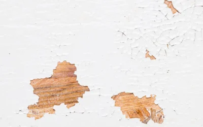 Common Causes and Prevention Tips for Paint Peeling in Harrisburg Homes